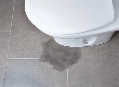 Toilet Leaking at the Base, How to Tell, Causes & Fixes